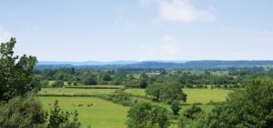 Mendips